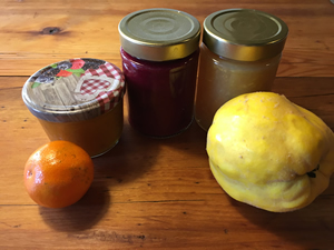 Quitten und Mandarinenkonfi